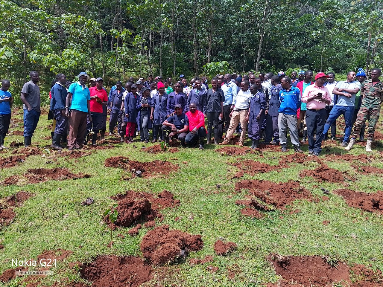TREE PLANTING CHANGACHICHA